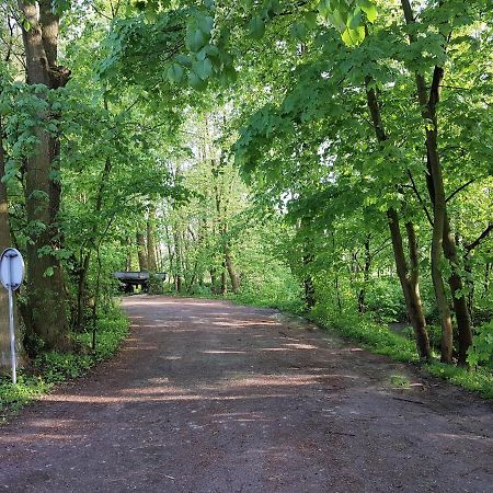Gospodarstwo Agroturystyczne Stary Mlyn Wilczkowice Michalowice  Extérieur photo