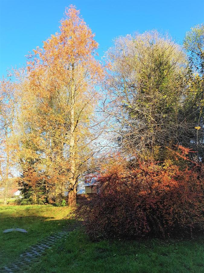 Gospodarstwo Agroturystyczne Stary Mlyn Wilczkowice Michalowice  Extérieur photo