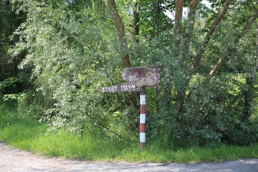 Gospodarstwo Agroturystyczne Stary Mlyn Wilczkowice Michalowice  Extérieur photo