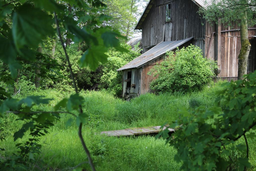 Gospodarstwo Agroturystyczne Stary Mlyn Wilczkowice Michalowice  Extérieur photo