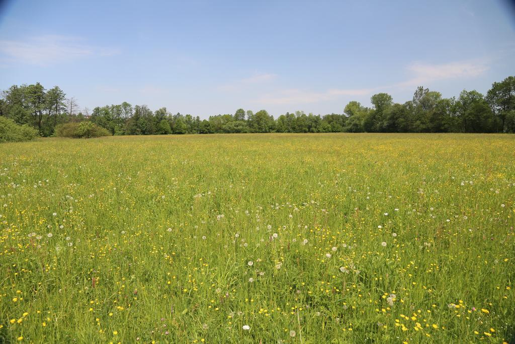 Gospodarstwo Agroturystyczne Stary Mlyn Wilczkowice Michalowice  Extérieur photo