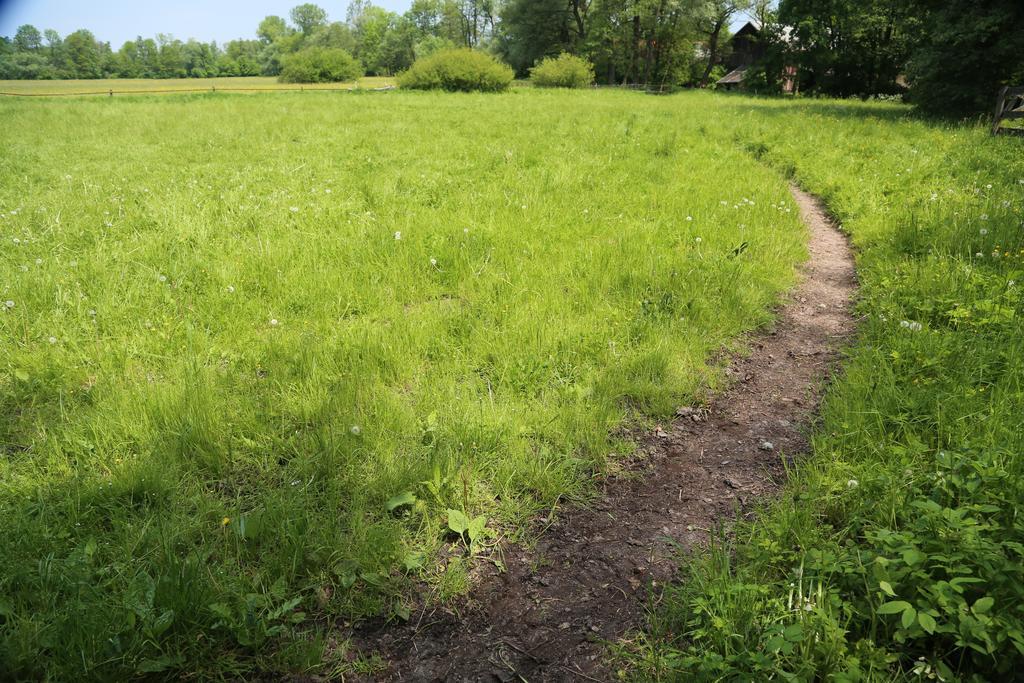 Gospodarstwo Agroturystyczne Stary Mlyn Wilczkowice Michalowice  Extérieur photo